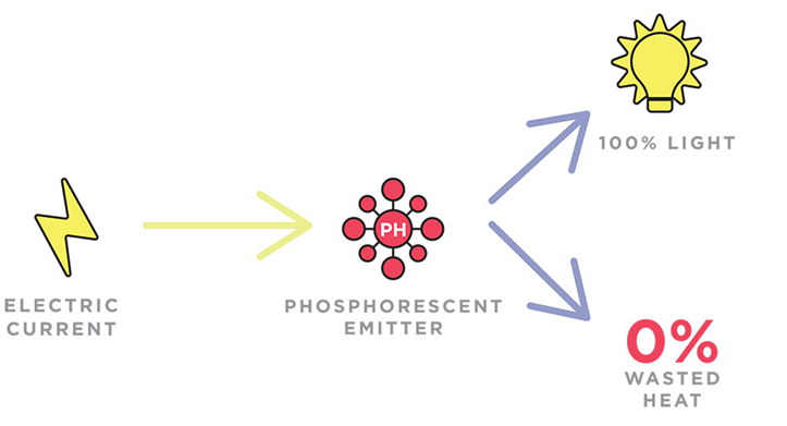 PHOLED Diagram